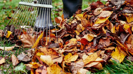 Gartenarbeiten im November: Ihre To-Dos für einen winterfesten Garten