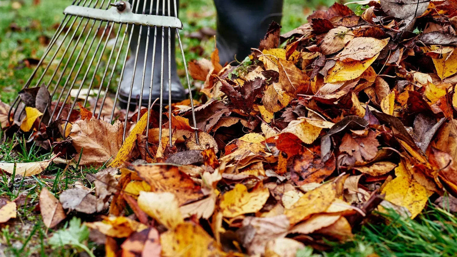 Gartenarbeiten im November: Ihre To-Dos für einen winterfesten Garten
