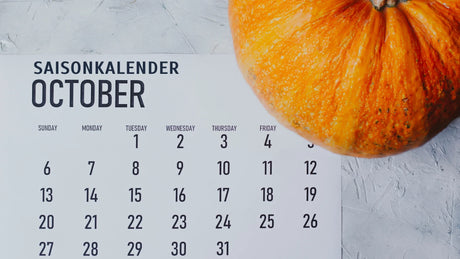Saisonkalender Oktober