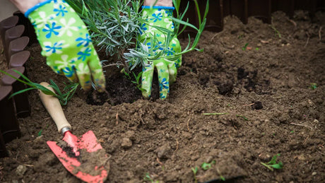 Gartenarbeiten im April – so wird der Garten Frühlingsfit