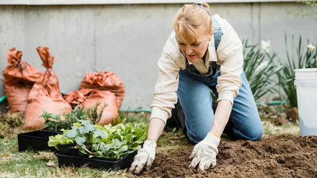 Gartenarbeiten im März: Für einen erfolgreichen Start in die Gartensaison