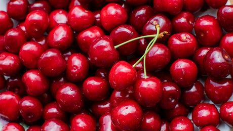Süßkirschen: Süße Früchtchen genießen