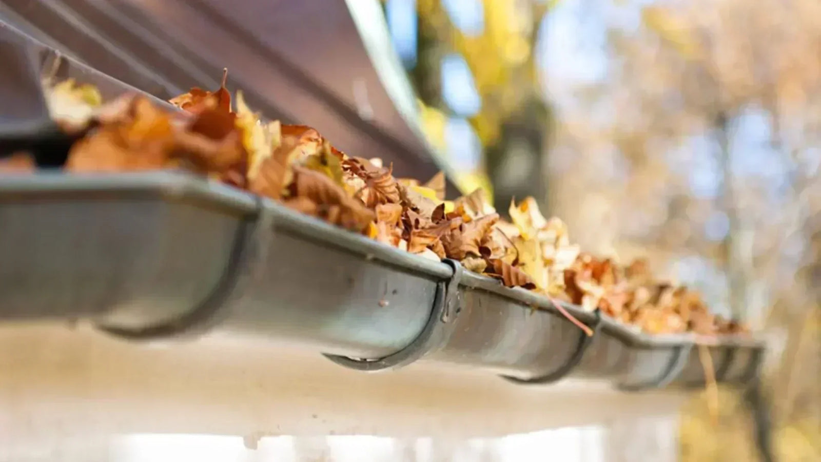 So bleiben Dachrinnen laubfrei!