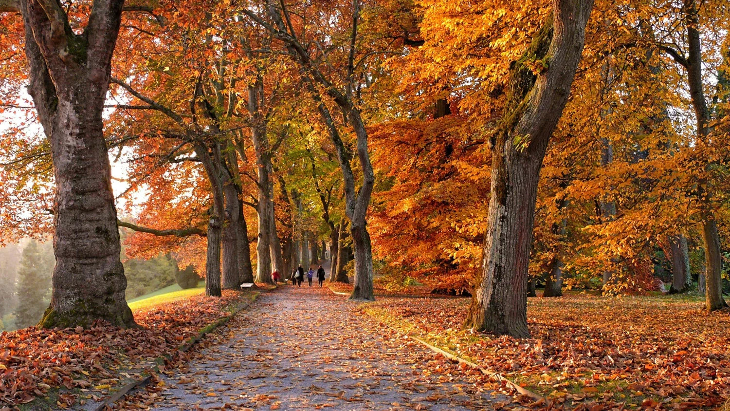 Herbstbeginn: 10 Dinge, die man im September tun sollte