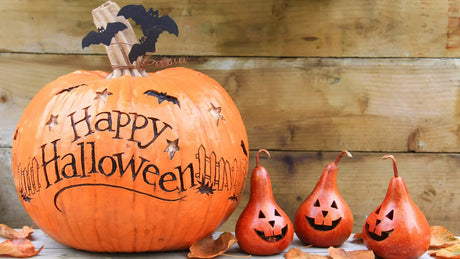 Halloween Special: DIY Ideen, Rezepte & Kostüme