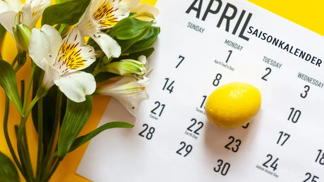 Saisonkalender April