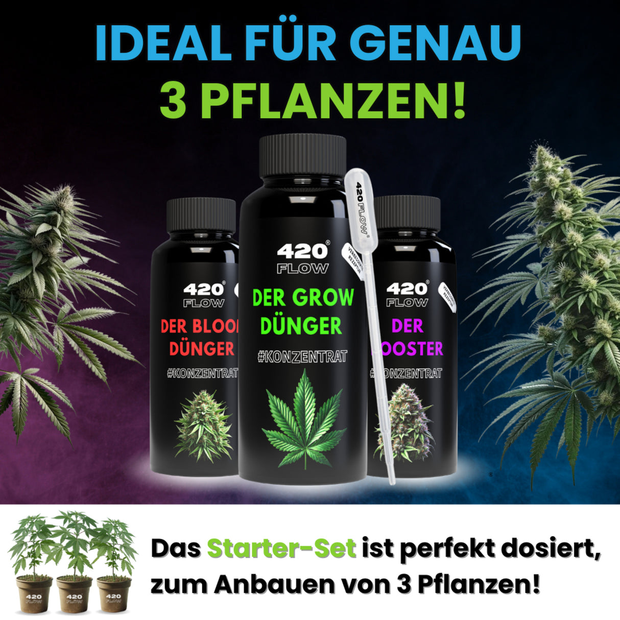 420Flow – Grow Starter Set mit Düngern inkl. 3 Samen Gelato Auto – HaGa-Welt