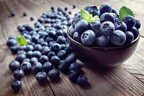 Mineraldünger für Heidelbeeren Dünger Obstdünger Pflanzendünger – HaGa-Welt