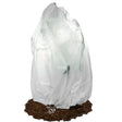 Frostschutzhaube 50 g/m² Winterschutz Frostschutzvlies – HaGa-Welt