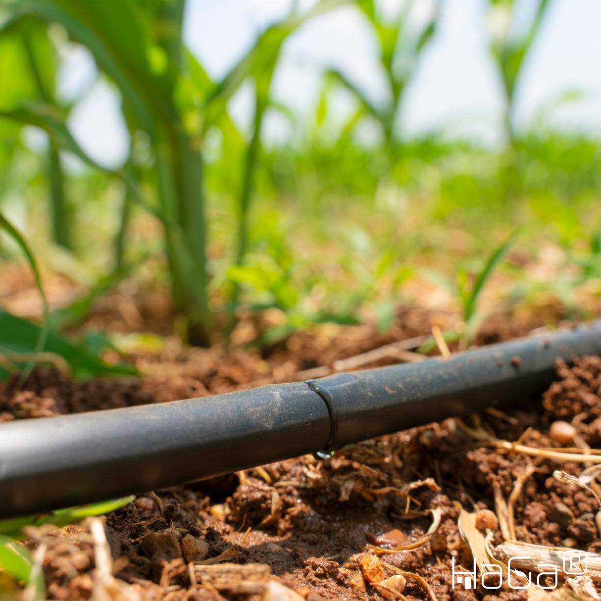 Tropfschlauch 16mm mit Druckkompensierung Perlschlauch Gartenbewässerung in dunkelbraun Meterware – HaGa-Welt