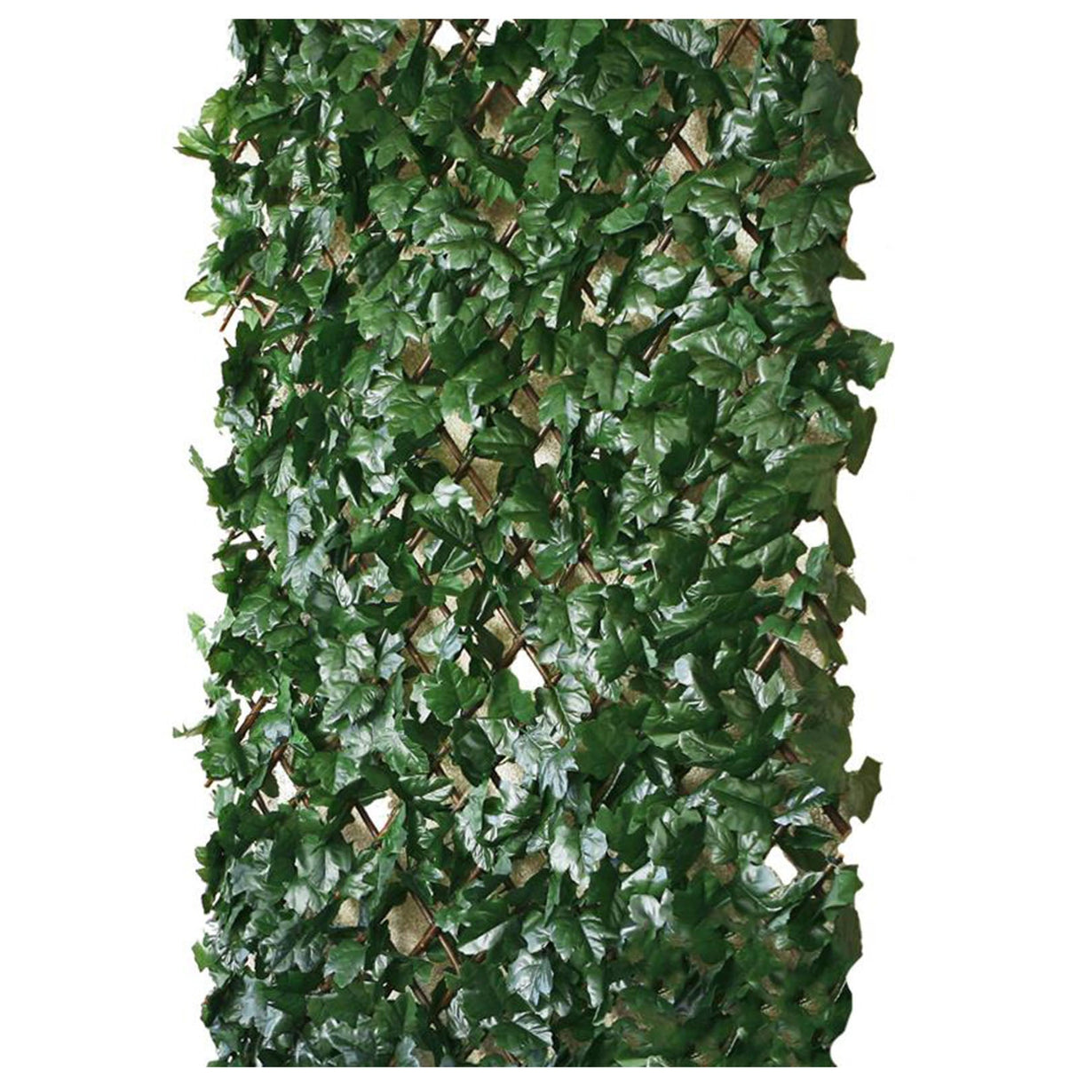 Rankhecke-Weide - 1x2 m - mit Lauboption – HaGa-Welt