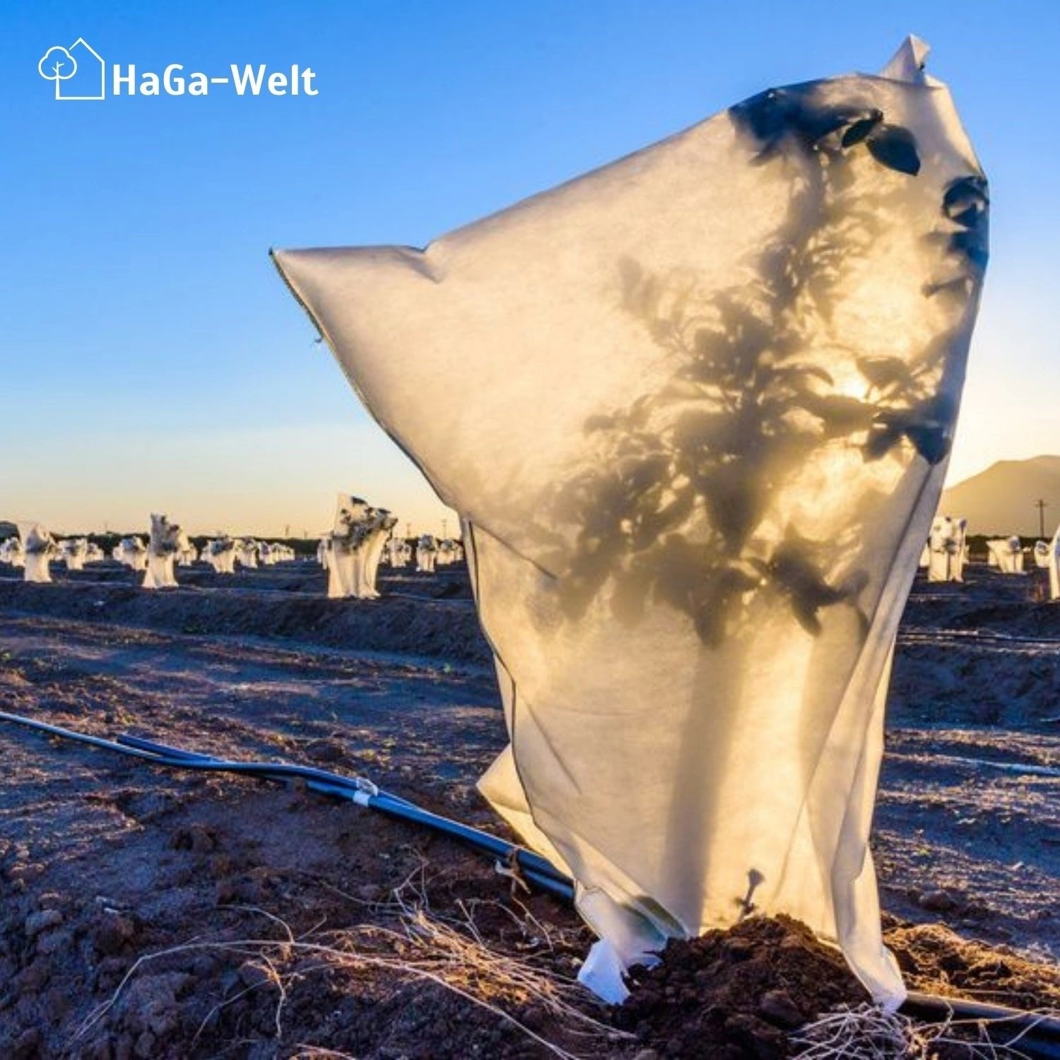 Frostschutzhaube 50 g/m² Winterschutz Frostschutzvlies – HaGa-Welt