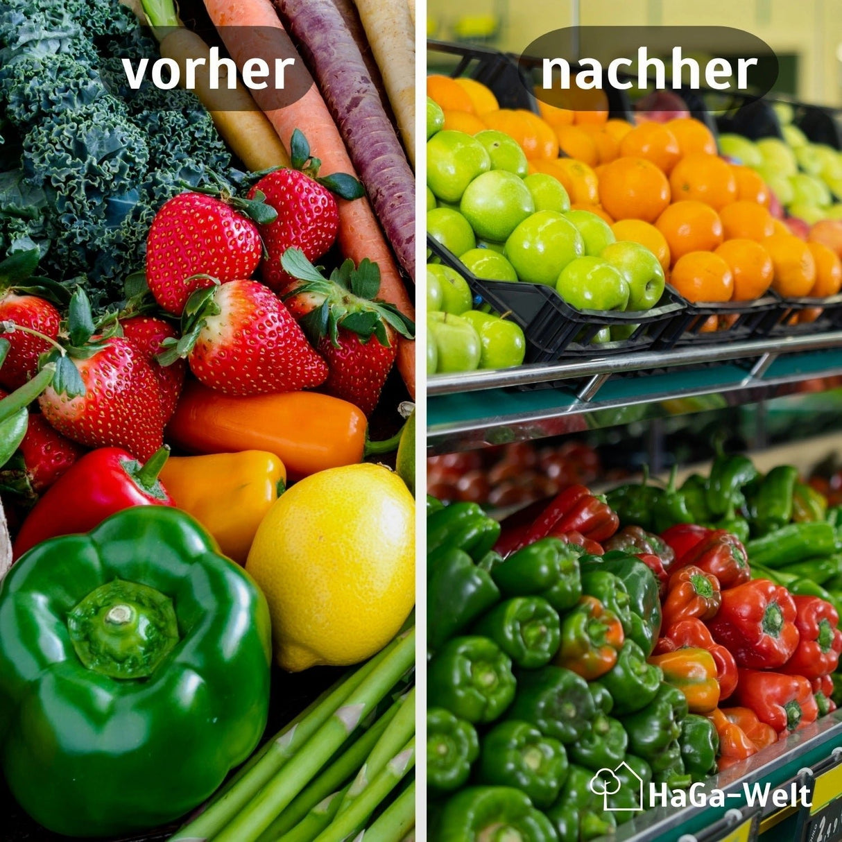 Lagerkiste versch. Abmessungen Obst- und Gemüsekasten stapelbar – HaGa-Welt