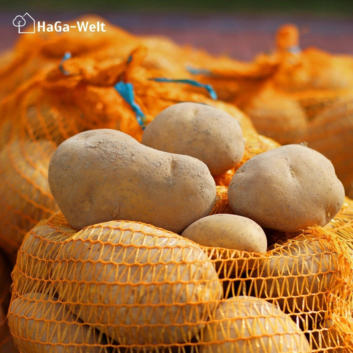 100 Stück Raschelsäcke Kartoffelsack Gemüsesack Zwiebelsack Sack – HaGa-Welt