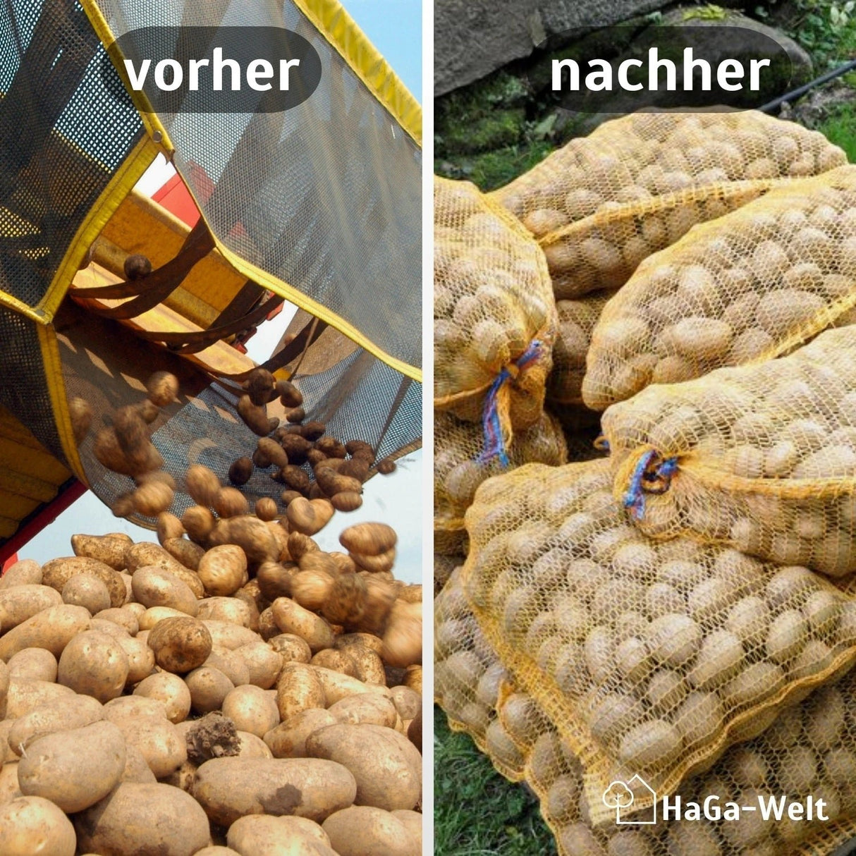100 Stück Raschelsäcke Kartoffelsack Gemüsesack Zwiebelsack Sack – HaGa-Welt