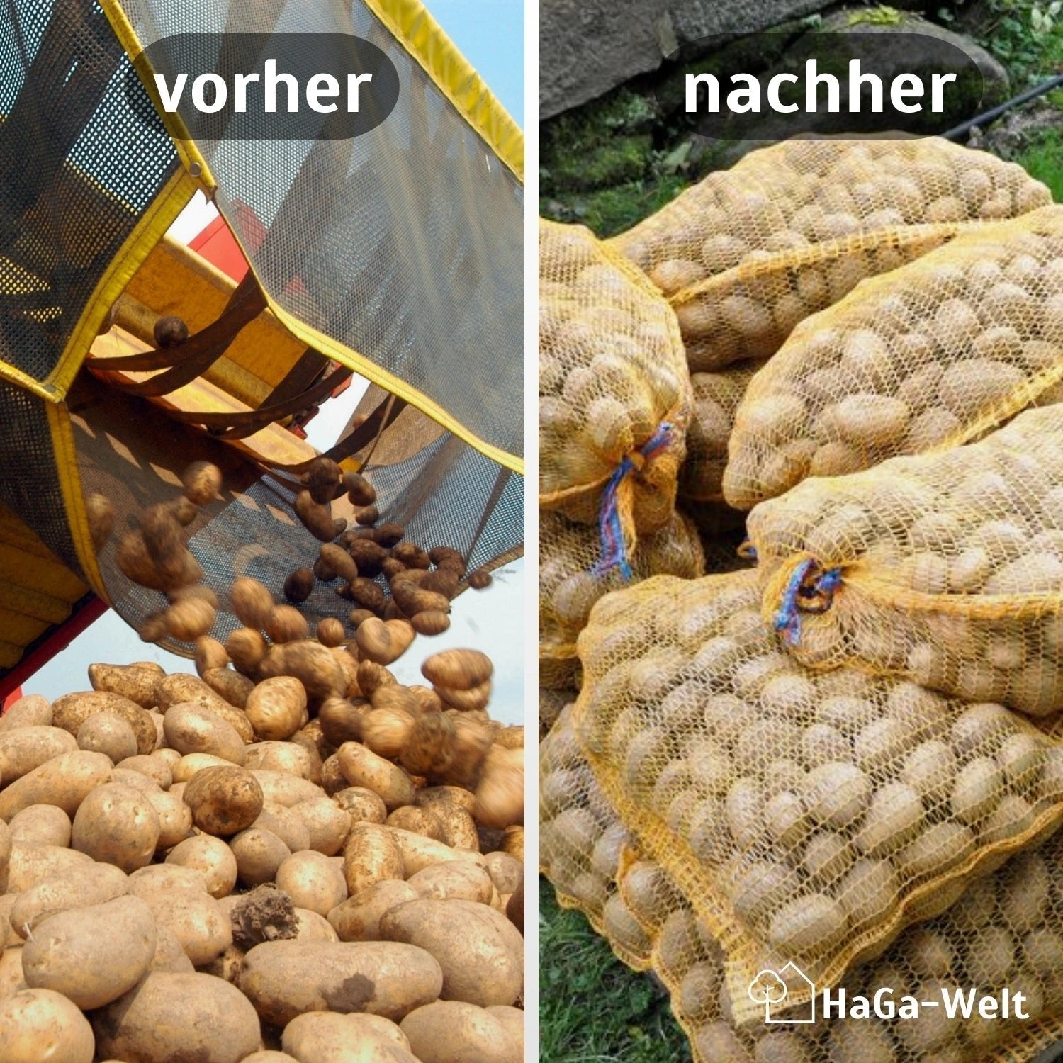 100 Stück Raschelsäcke Kartoffelsack Gemüsesack Zwiebelsack Sack – HaGa-Welt