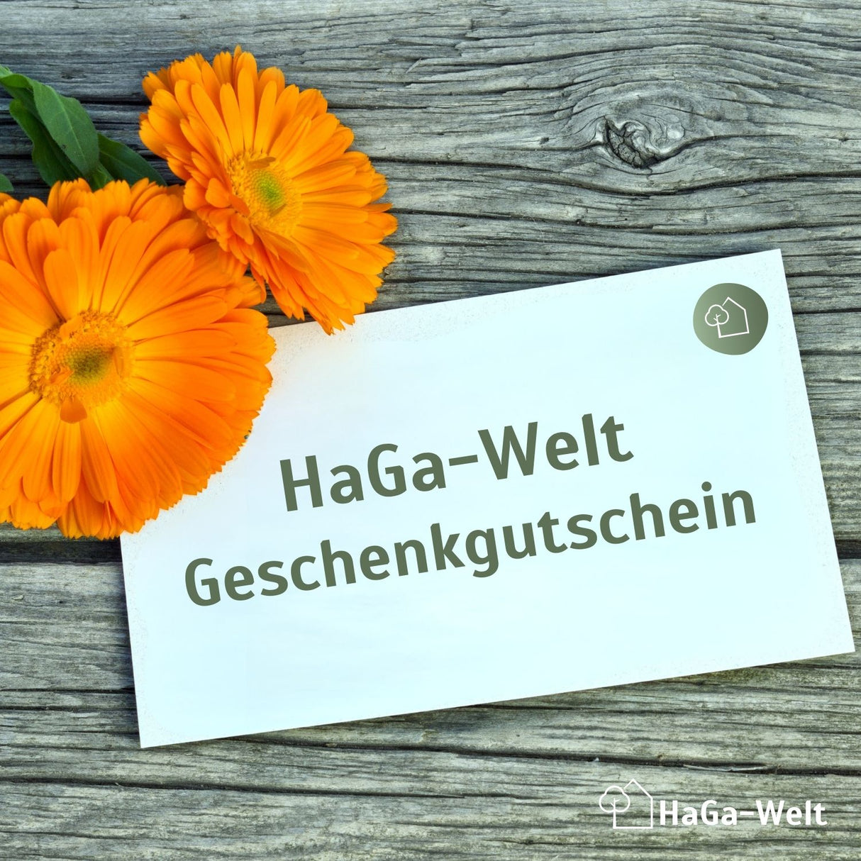 HaGa-Welt Geschenkgutschein (digital) – Freude für alle Gartenliebhaber
