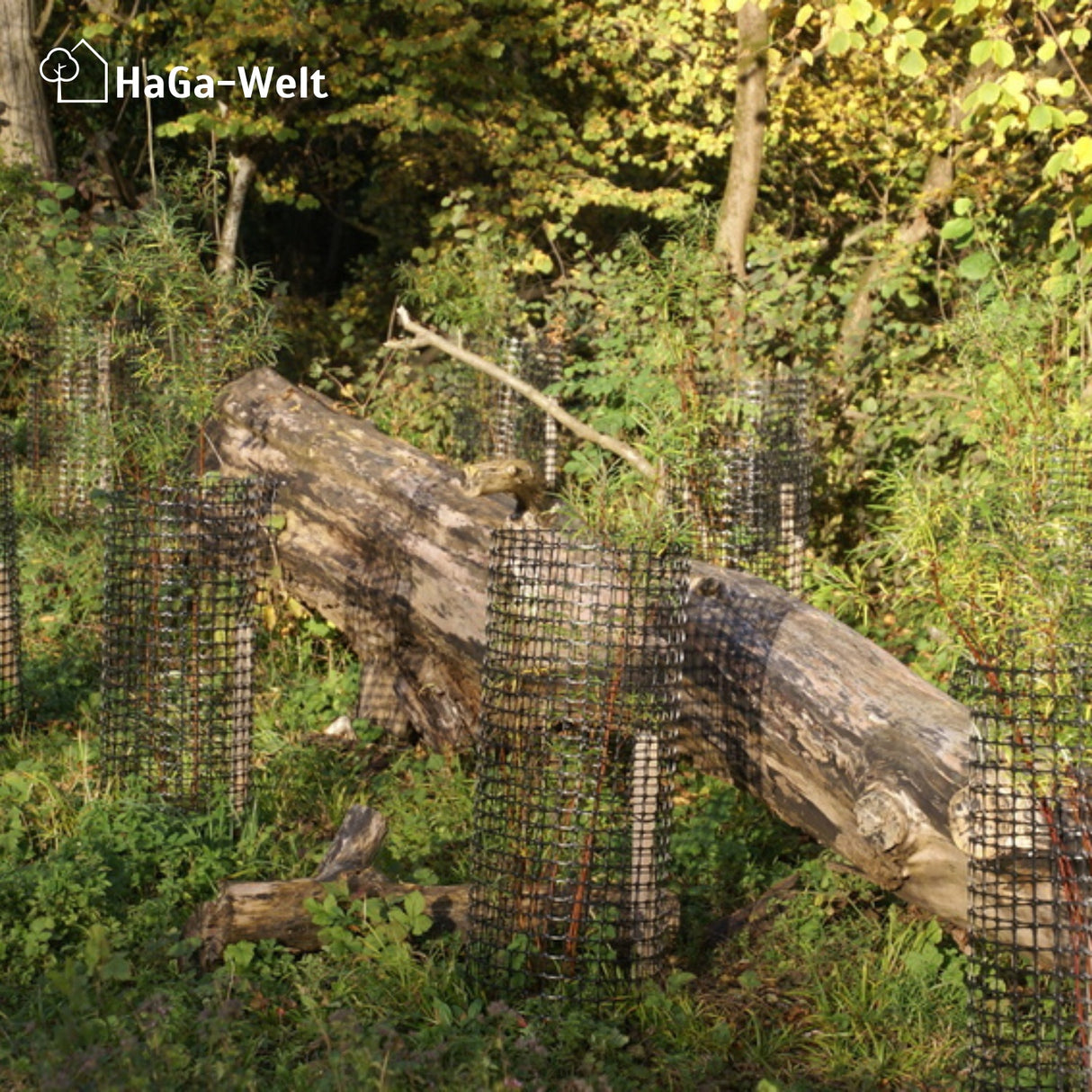 Premium Baumschutzgitter – extra starker Verbissschutz und Baumschutz – HaGa-Welt