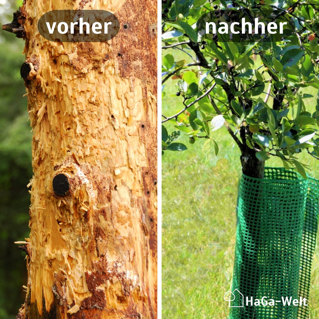 Premium Baumschutzgitter – extra starker Verbissschutz und Baumschutz – HaGa-Welt