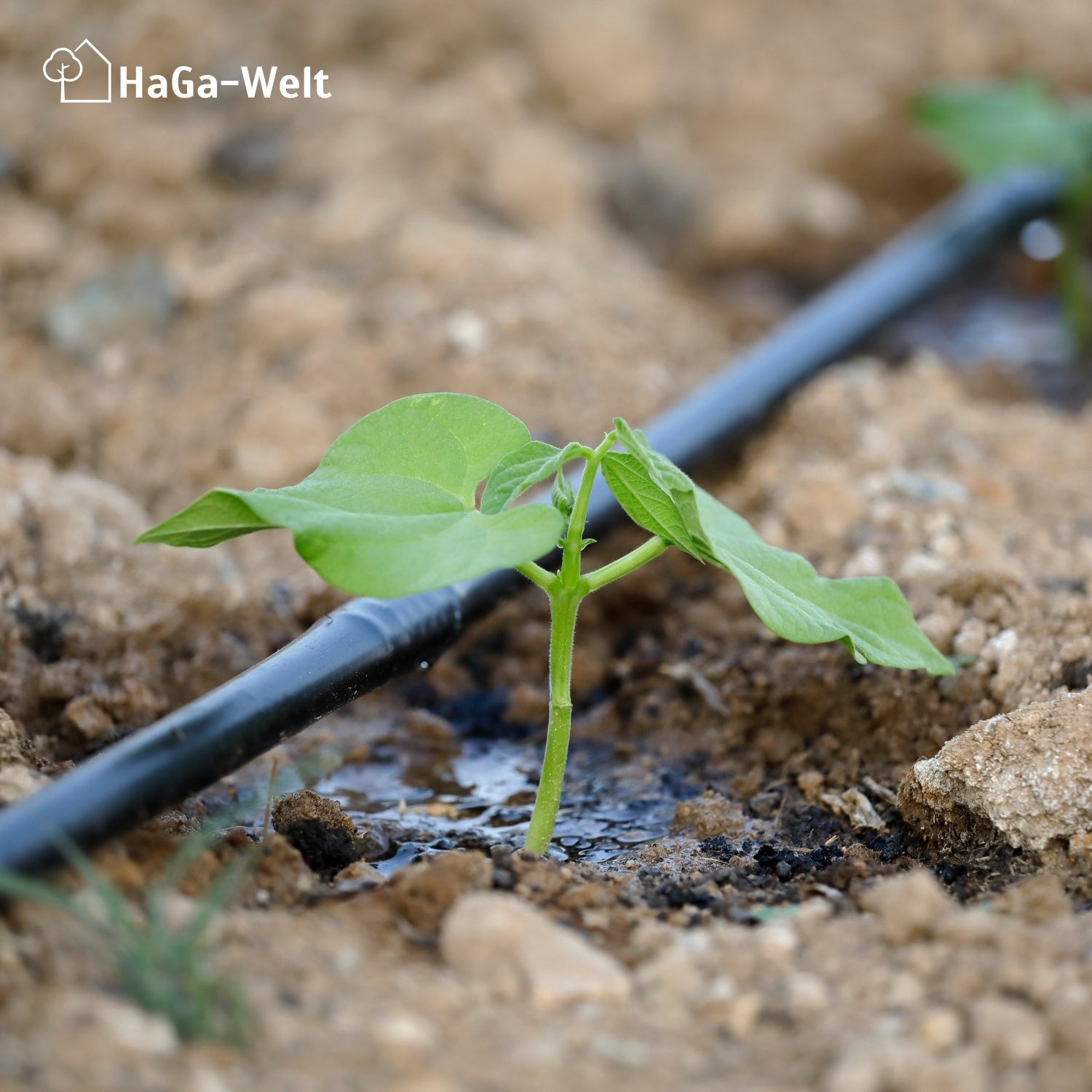 HaGa® Bewässerungsset mit oder ohne Druckkompensierung Tropfschlauch inkl. Zubehör – HaGa-Welt