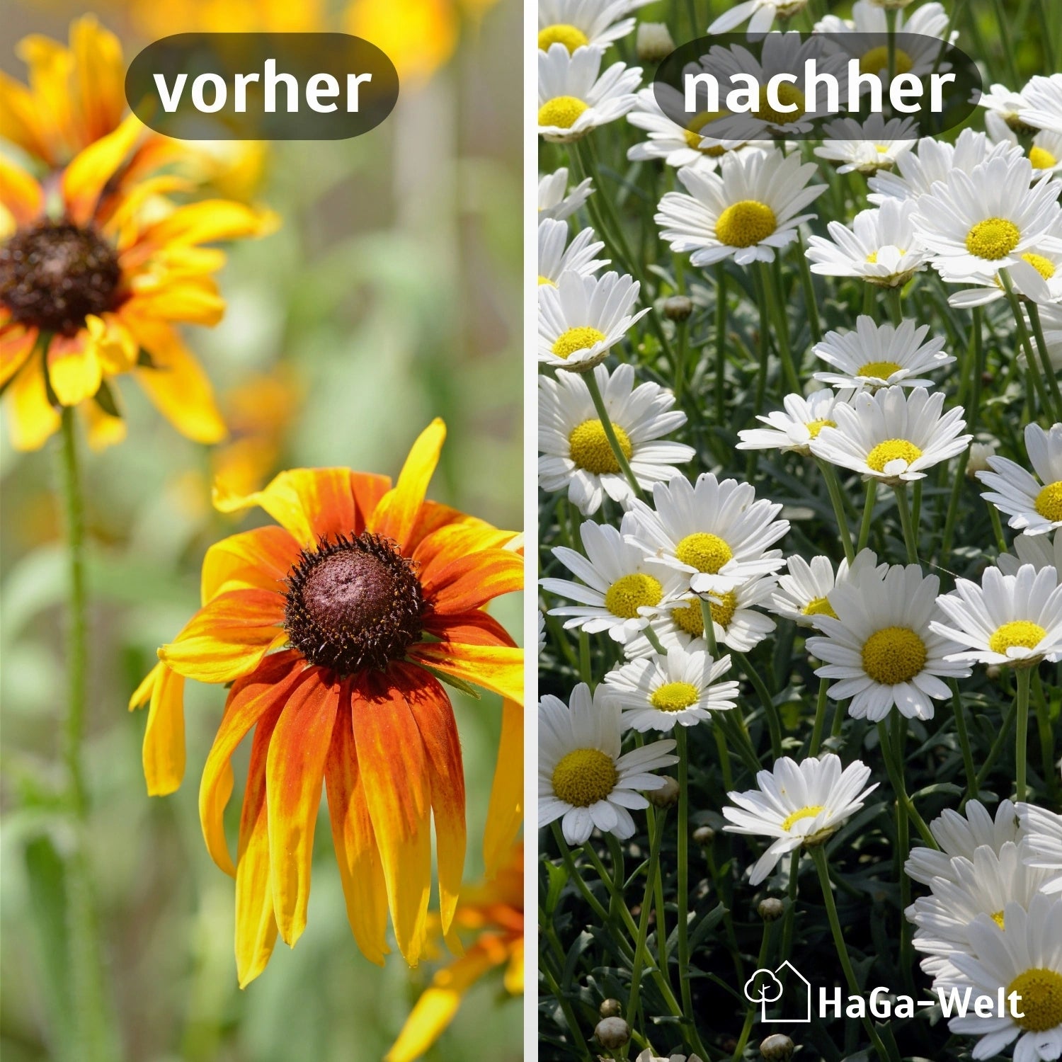 BEWÄSSERUNGSVLIES 500g/m² in versch. Breiten Bewässerungsmatte – HaGa-Welt