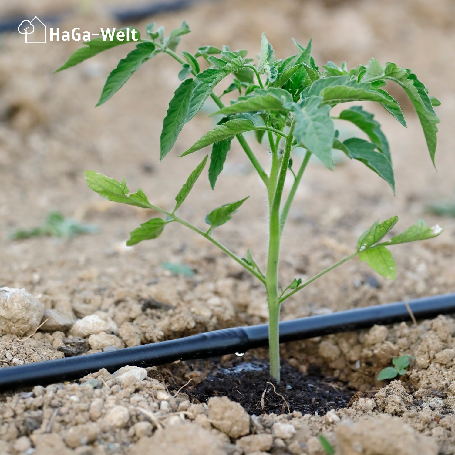 HaGa® Bewässerungsset mit oder ohne Druckkompensierung Tropfschlauch inkl. Zubehör – HaGa-Welt