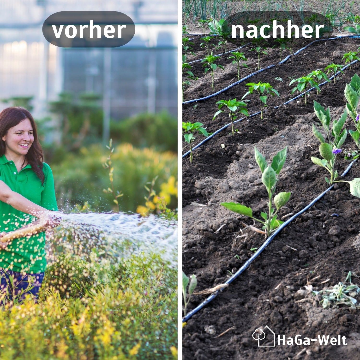 HaGa® Bewässerungsset mit oder ohne Druckkompensierung Tropfschlauch inkl. Zubehör – HaGa-Welt
