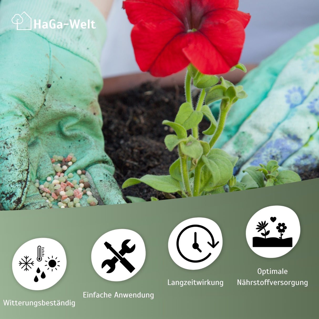 Blumendünger - Dünger für gesunde Blumen – HaGa-Welt