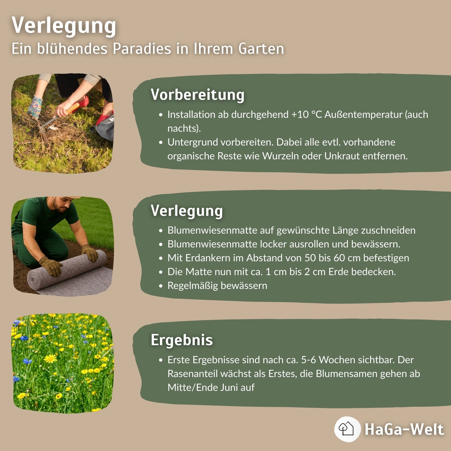 Blumenwiesenmatte – eine Wildblumenwiese für Ihren Garten – HaGa-Welt