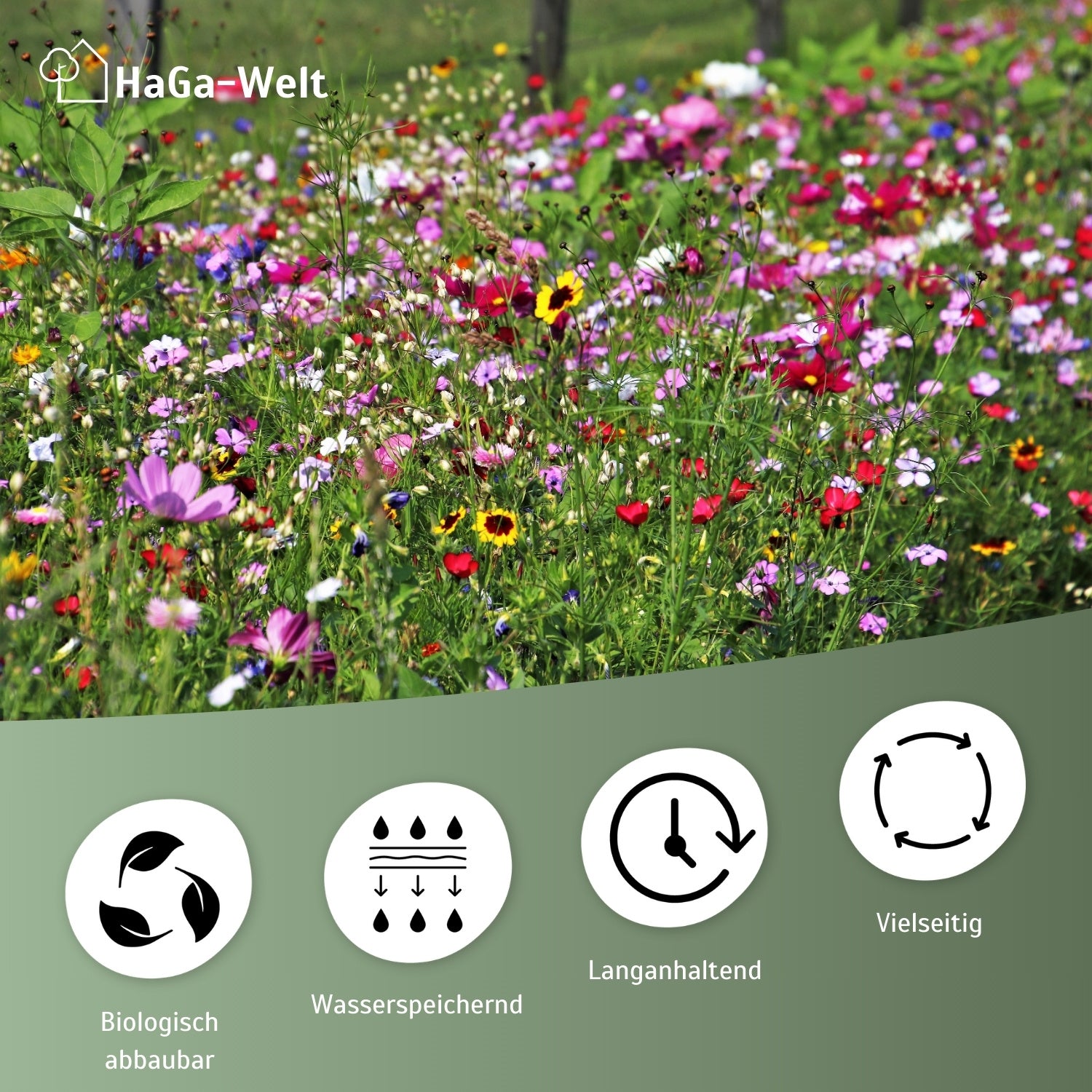 Blumenwiesenmatte – eine Wildblumenwiese für Ihren Garten – HaGa-Welt
