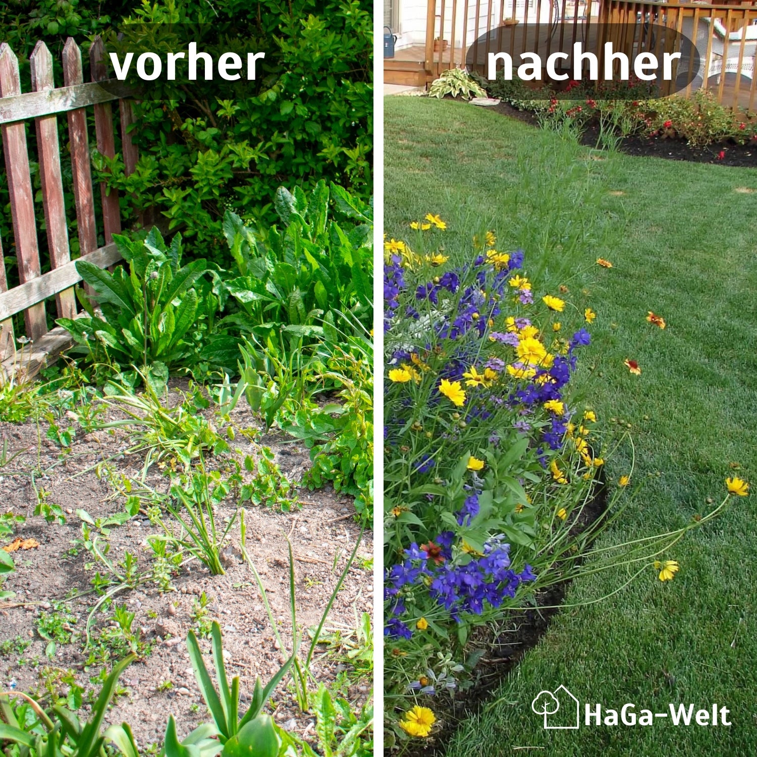 Blumenwiesenmatte – eine Wildblumenwiese für Ihren Garten – HaGa-Welt