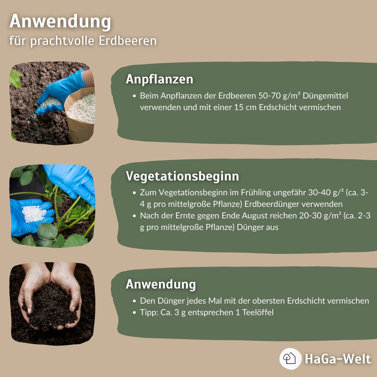 Erdbeerdünger für Erdbeeren und Walderdbeeren – HaGa-Welt