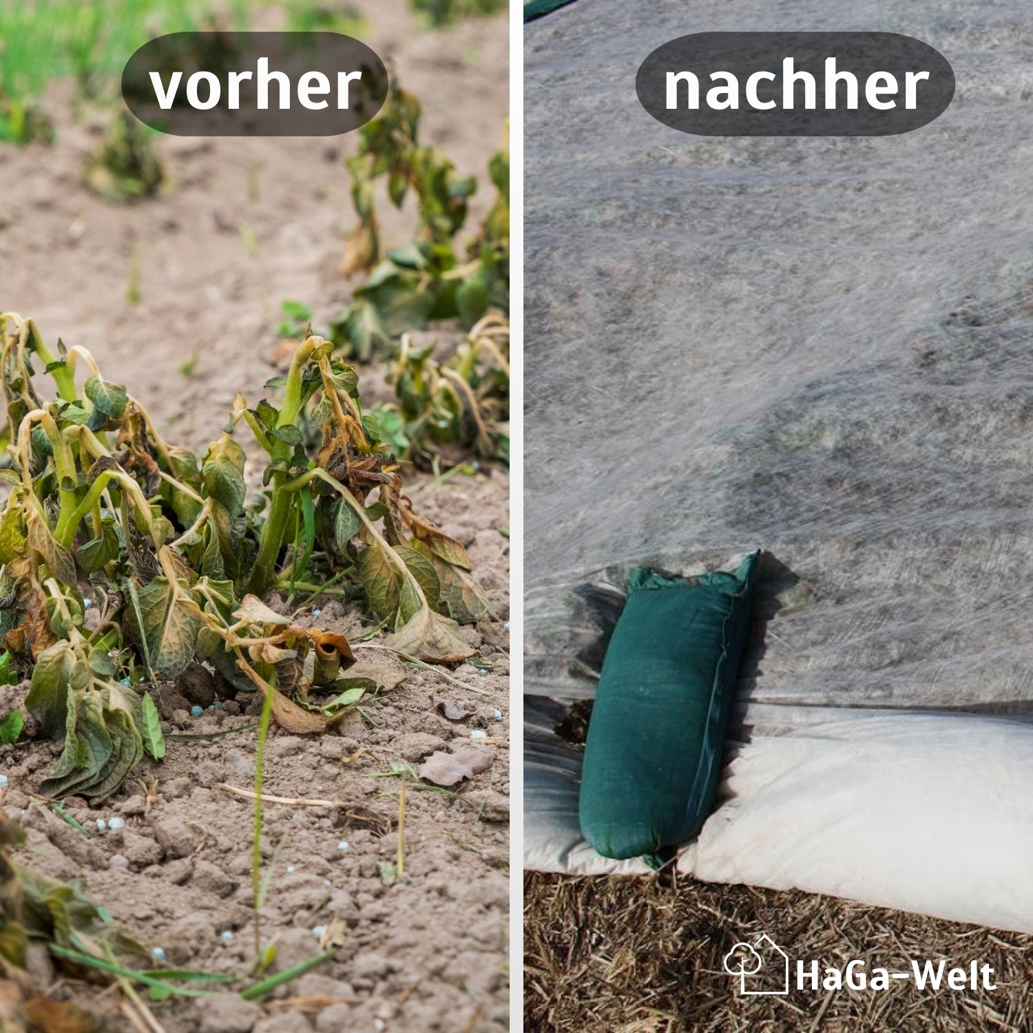 Ernteschutz-Starter-Set: Idealer Kälte- & Windschutz in verschiedenen Größen – HaGa-Welt