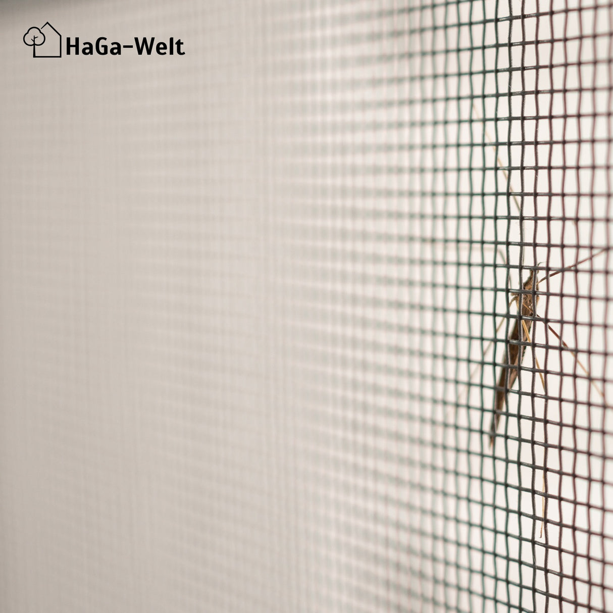 Fliegengitter – perfekter Insektenschutz für Ihr Zuhause – HaGa-Welt