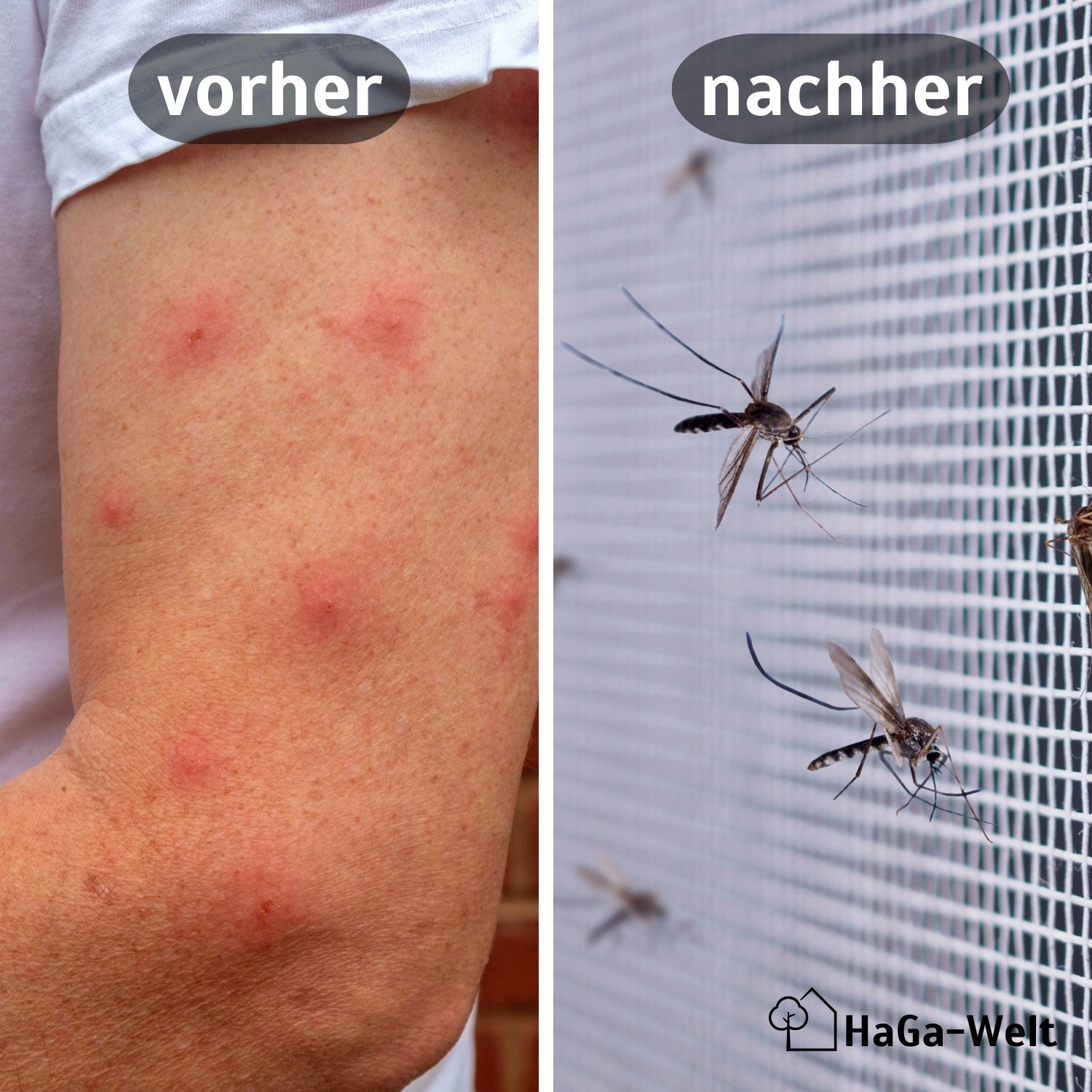 Fliegengitter – perfekter Insektenschutz für Ihr Zuhause – HaGa-Welt