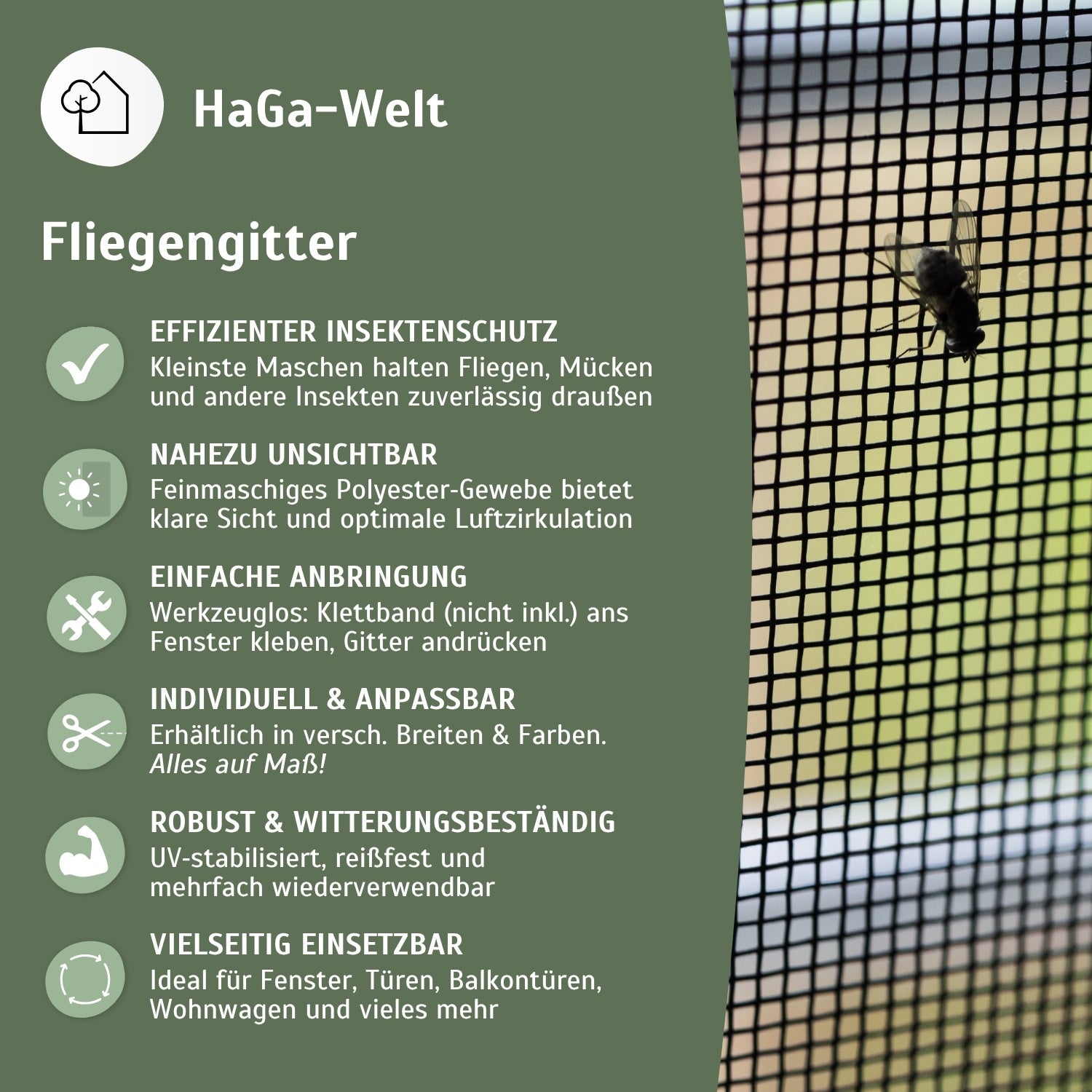 Fliegengitter – perfekter Insektenschutz für Ihr Zuhause – HaGa-Welt