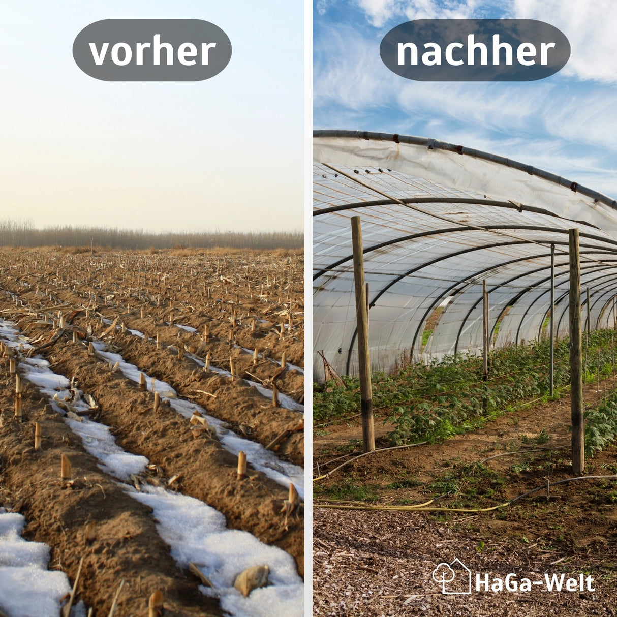 GITTERFOLIE in versch. Breiten für Gewächshausbau, Folientunnel – HaGa-Welt