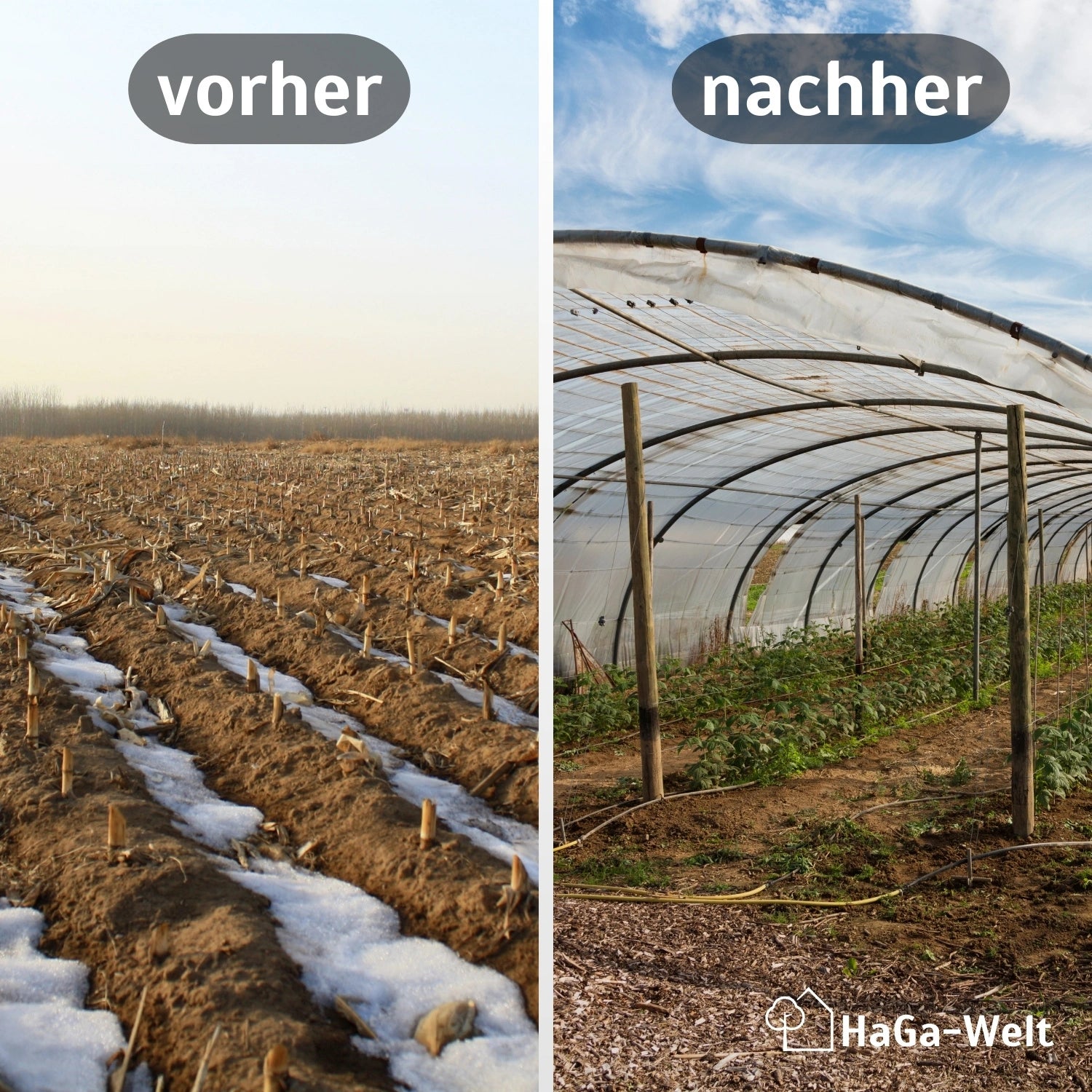 GITTERFOLIE in versch. Breiten für Gewächshausbau, Folientunnel – HaGa-Welt