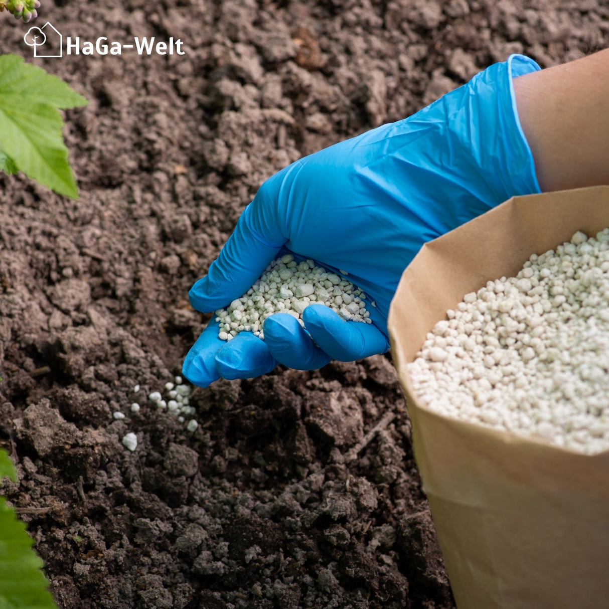 Heidelbeerdünger - Mineraldünger für Heidelbeeren – HaGa-Welt