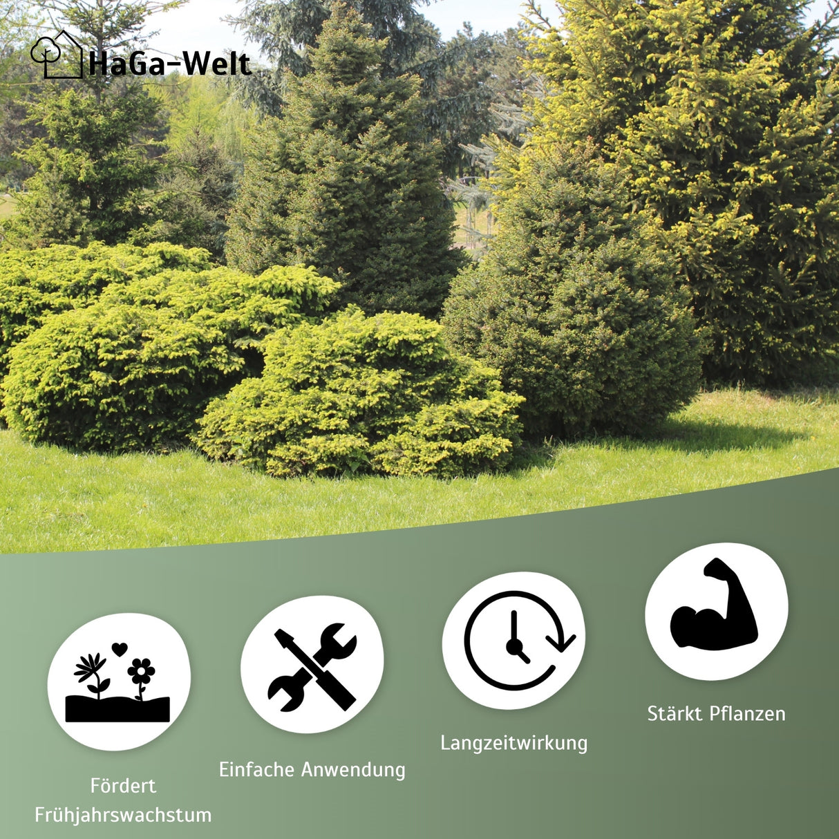 Herbstdünger für Nadelbäume - perfekte für Eibenhecken und Koniferen – HaGa-Welt