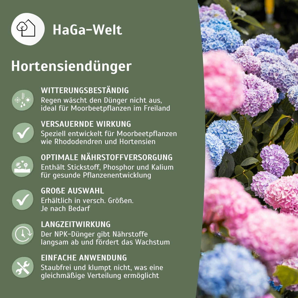 Hortensiendünger – Mineraldünger für Hortensien, Rhododendron & Azaleen – HaGa-Welt