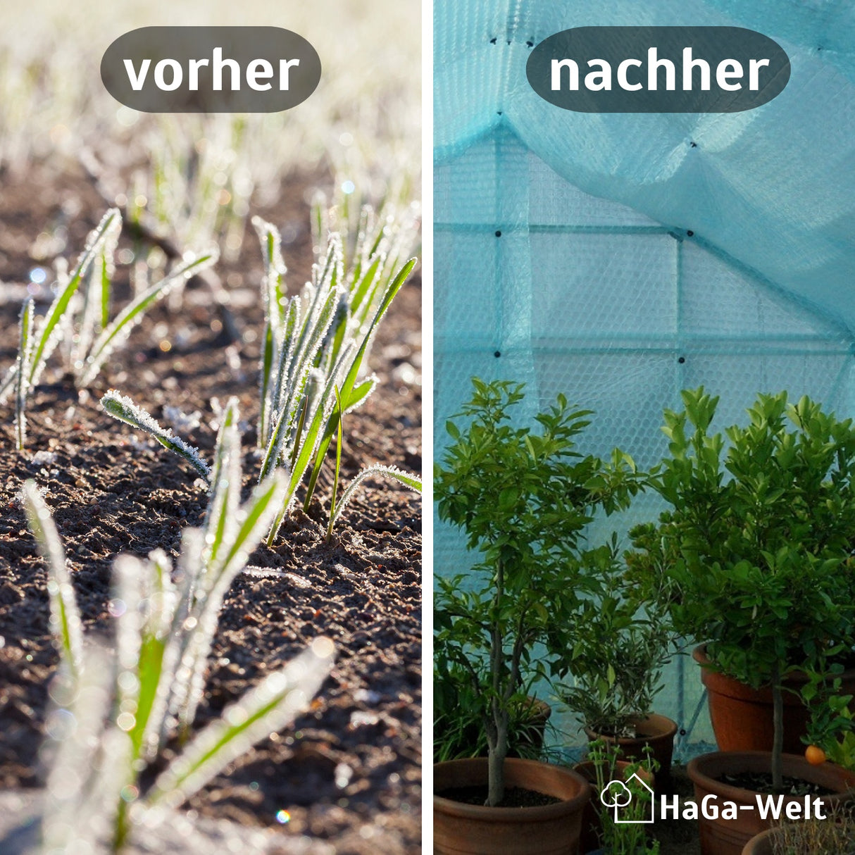 Isolierfolie 1,5m Breite 3-lagig Meterware – effektiver Frostschutz für Gewächshäuser – HaGa-Welt