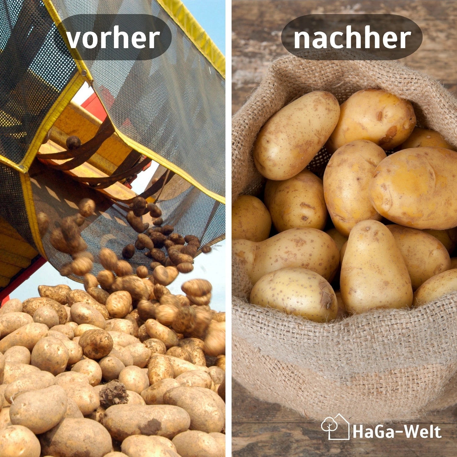 Jutesack versch. Größen Kartoffelsack Getreidesack Sack aus Jute – HaGa-Welt