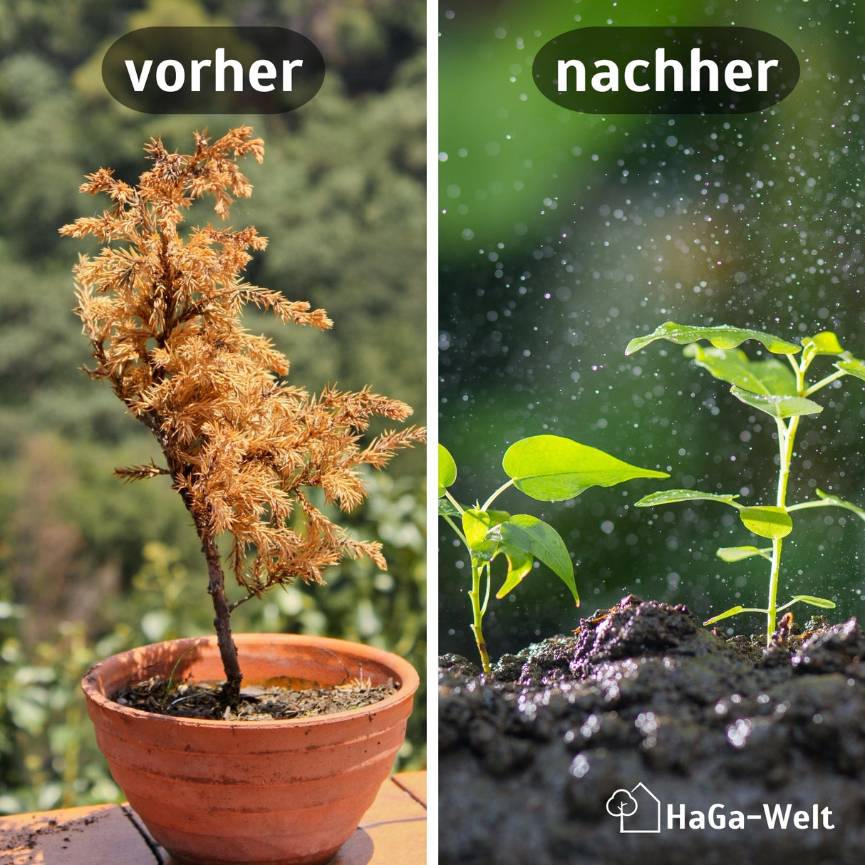 Kokoserde Cannabiserde gepresste Blumenerde Naturprodukt – HaGa-Welt
