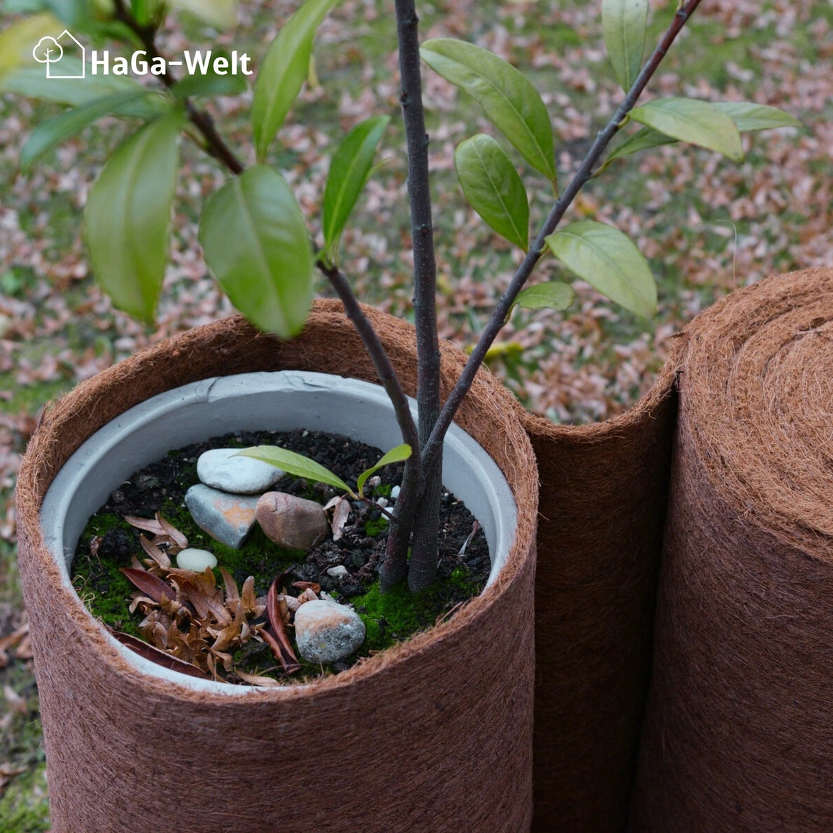Kokosmatte 800g/m² – natürlicher Schutz vor Kälte – HaGa-Welt