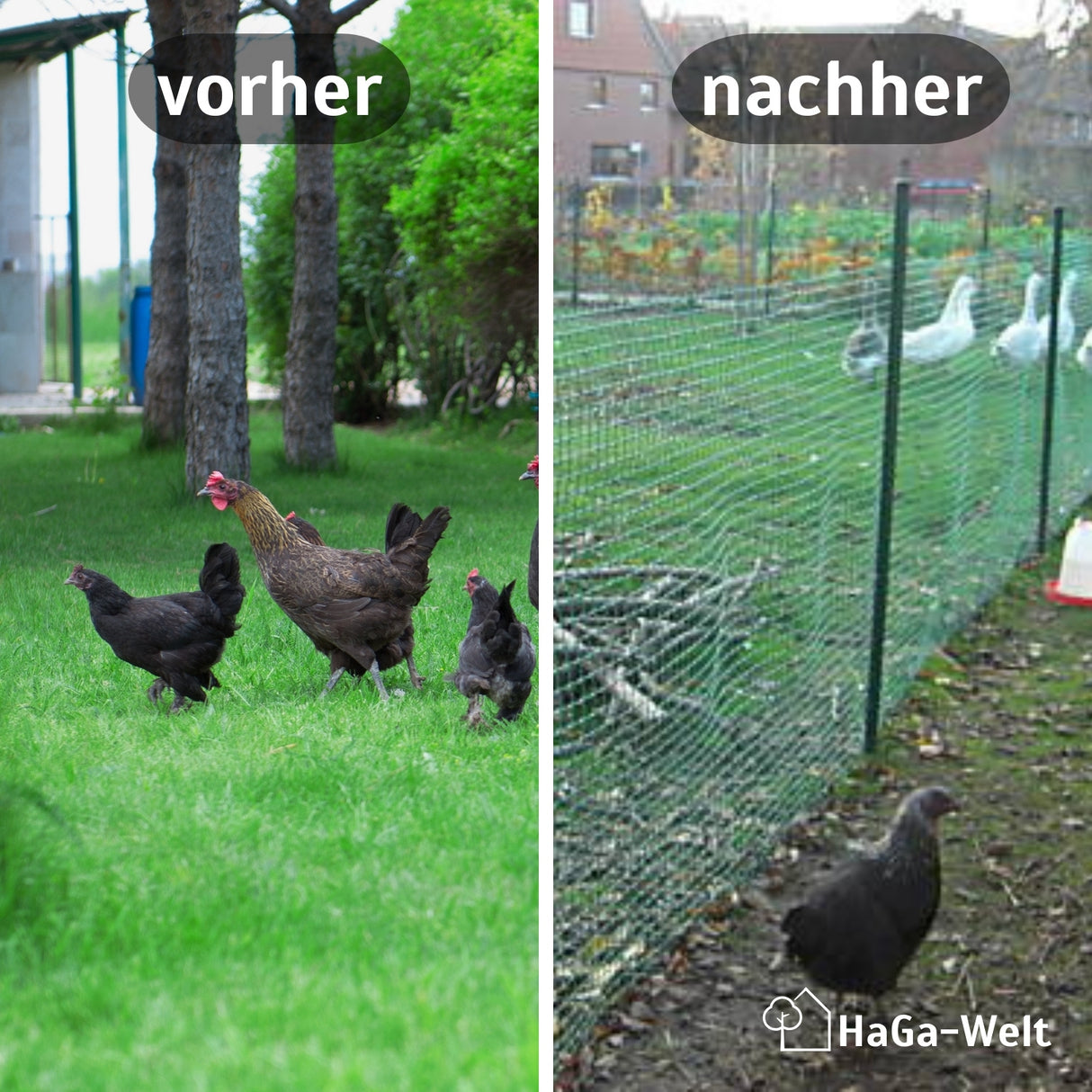 Gartenzaun – vielfältiger Kunststoffzaun für Ihren Garten – HaGa-Welt