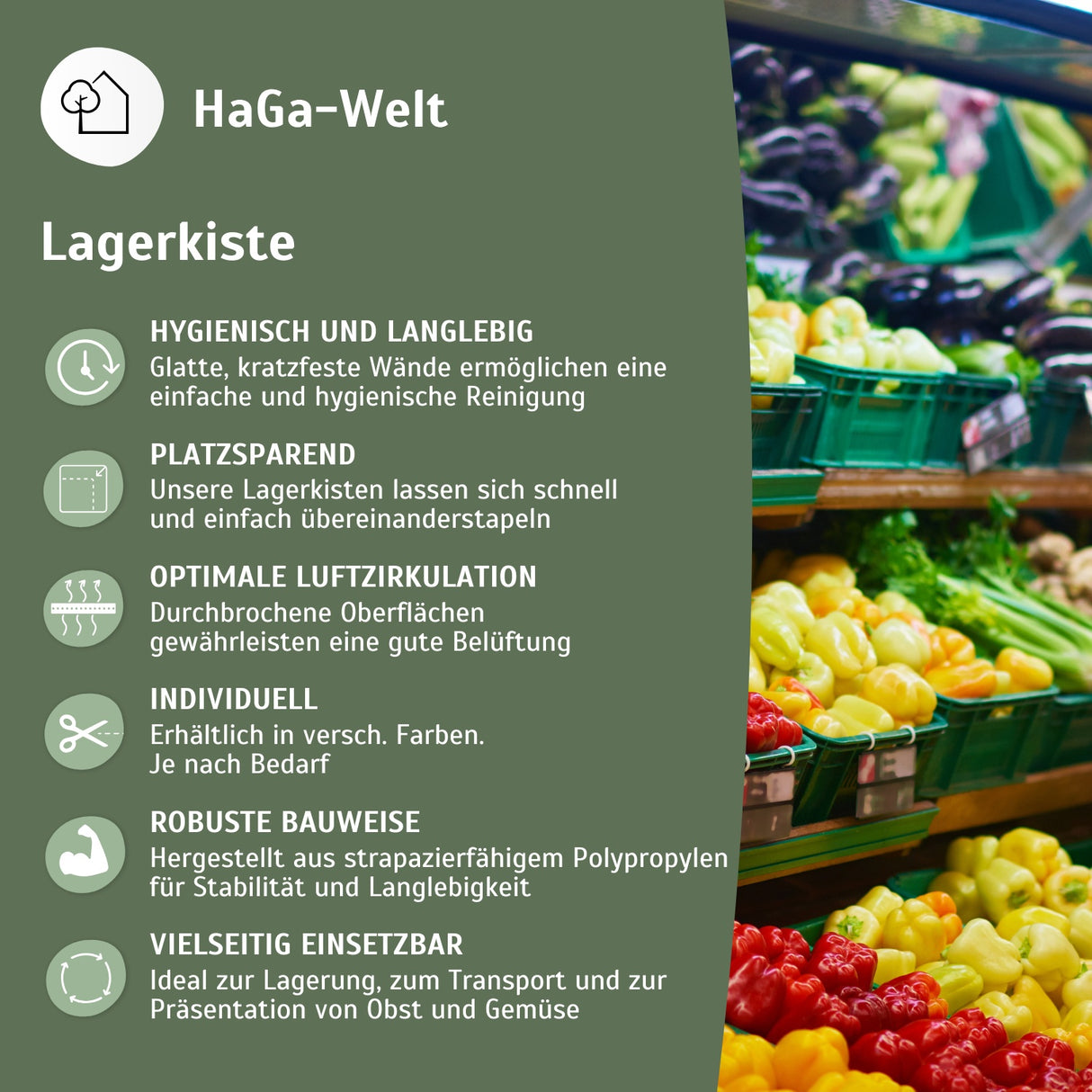 Obstkiste – Lagerung für Lebensmittel und Gegenstände – HaGa-Welt
