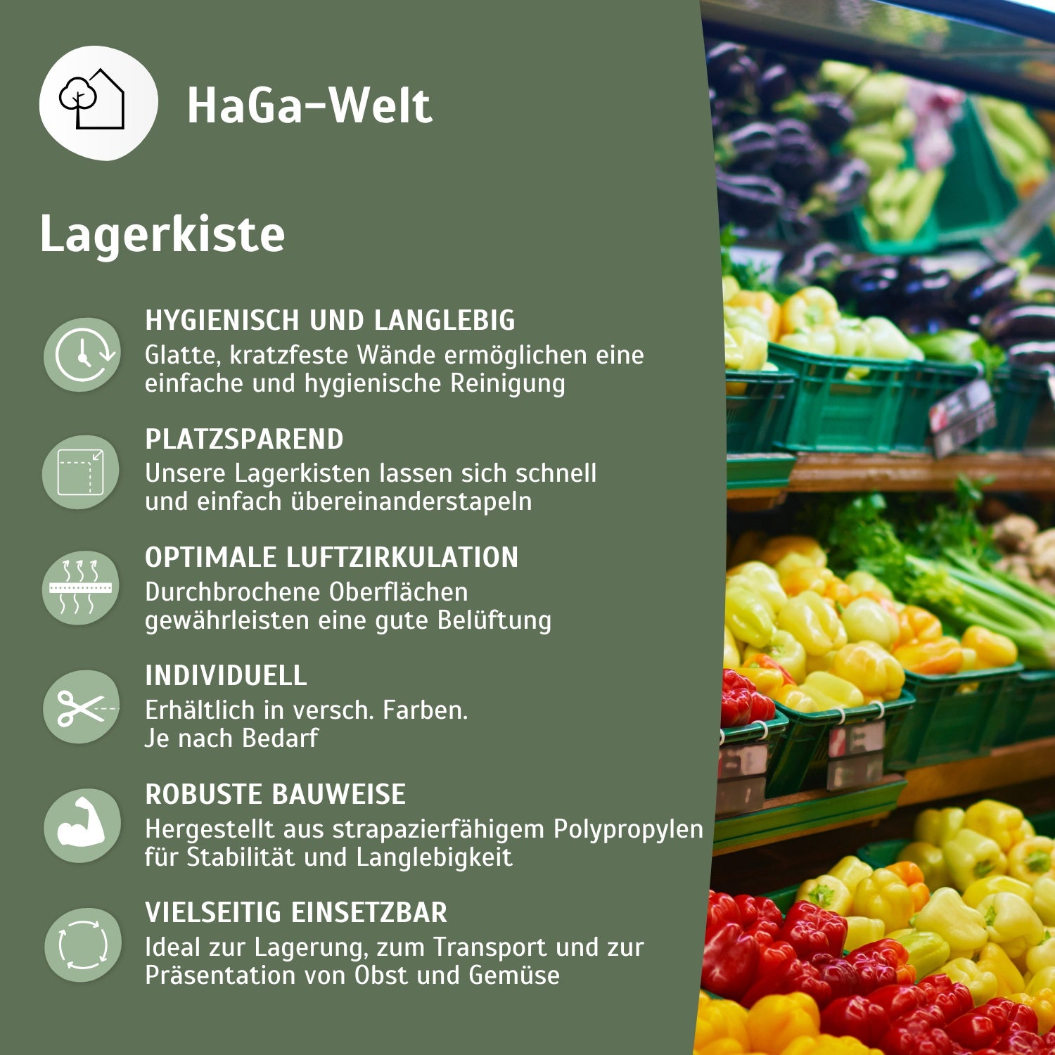 Obstkiste – Lagerung für Lebensmittel und Gegenstände – HaGa-Welt