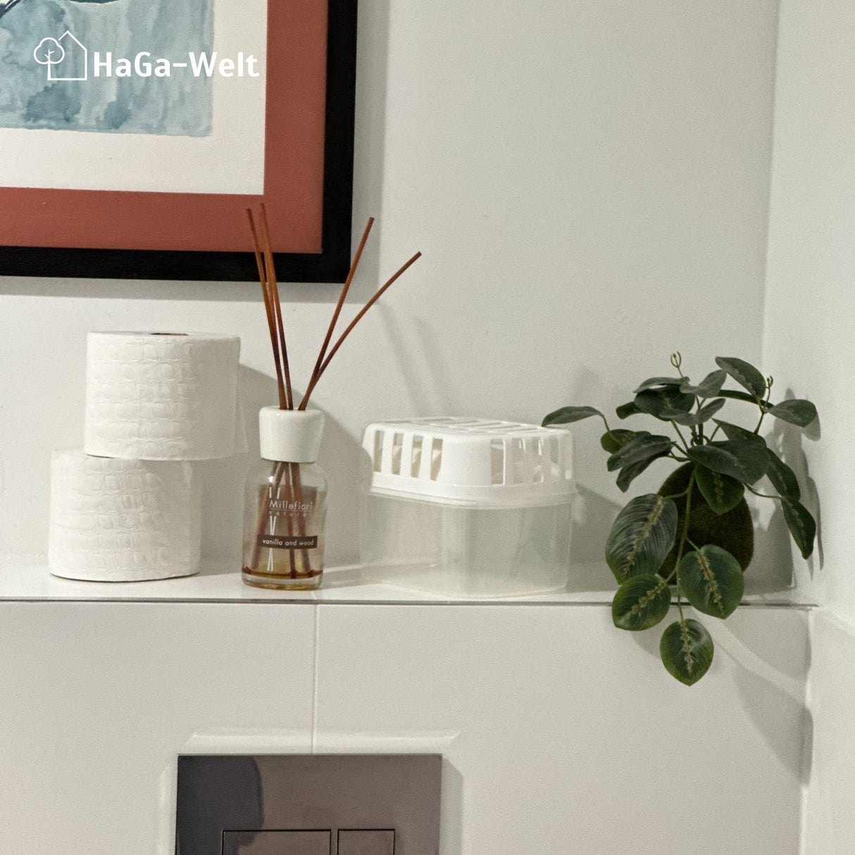 Luftentfeuchter Set inkl. Nachfüllpacks –Gutes Raumklima für Räume bis zu 36 m² – HaGa-Welt