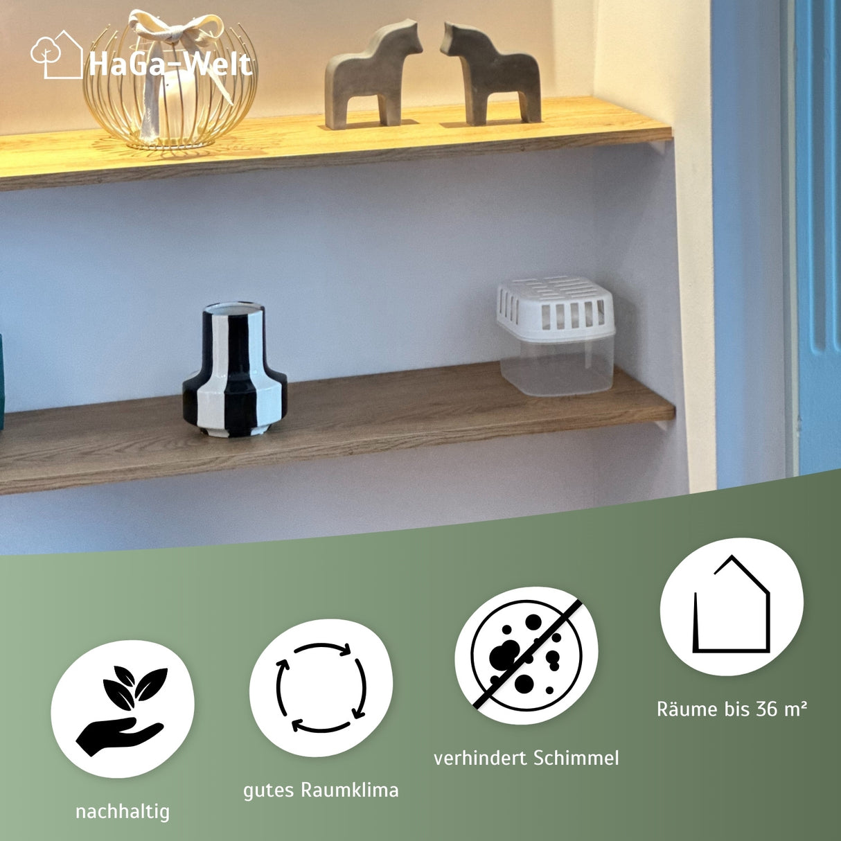Luftentfeuchter Set inkl. Nachfüllpacks –Gutes Raumklima für Räume bis zu 36 m² – HaGa-Welt